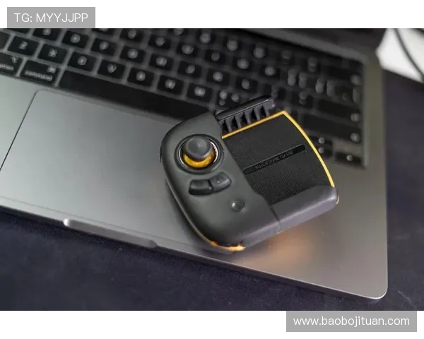 多米体育官网入口最新登录指南，帮助玩家轻松进入官方平台畅玩游戏